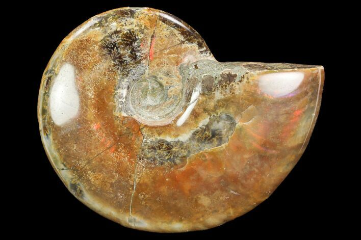 Iridescent, Red Flash Ammonite - Madagascar #126060